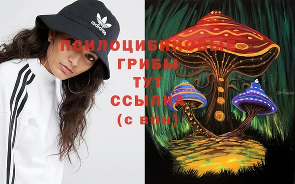 mdpv Баксан