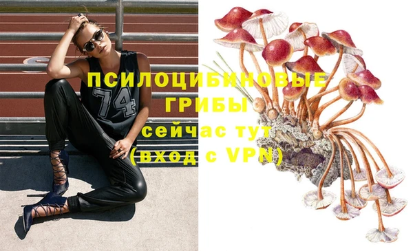 твердый Слюдянка