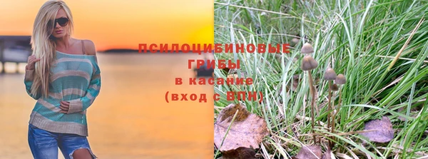 амф Балахна