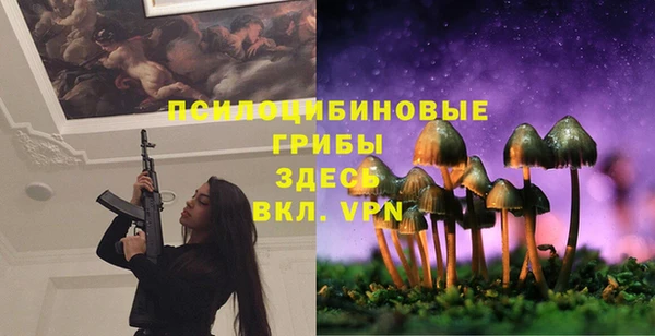mdpv Баксан